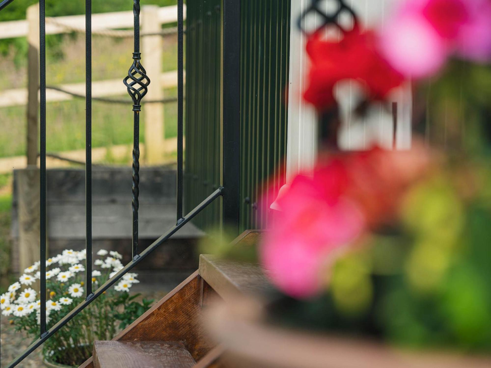 Bedwen Villa Llanarth  Bagian luar foto